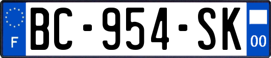 BC-954-SK