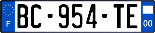 BC-954-TE