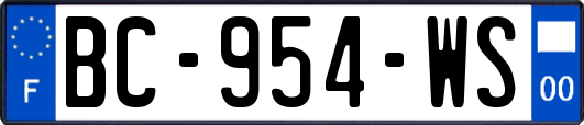 BC-954-WS