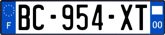 BC-954-XT