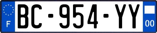 BC-954-YY
