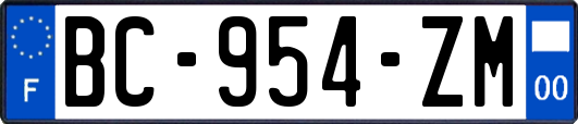 BC-954-ZM