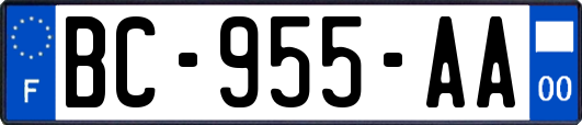 BC-955-AA