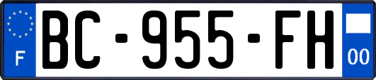 BC-955-FH