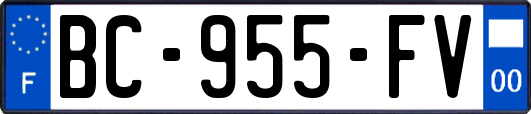 BC-955-FV