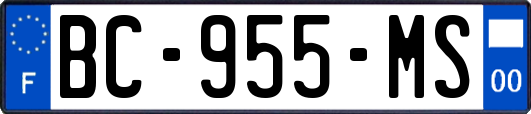 BC-955-MS