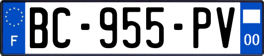 BC-955-PV