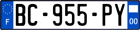 BC-955-PY