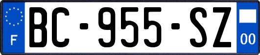 BC-955-SZ