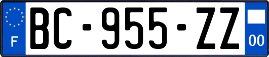 BC-955-ZZ