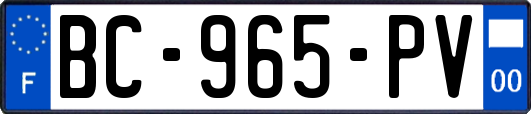 BC-965-PV