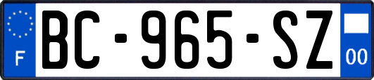 BC-965-SZ