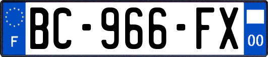 BC-966-FX