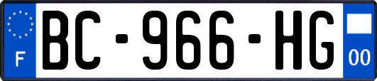 BC-966-HG