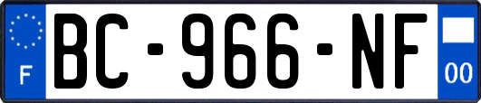 BC-966-NF