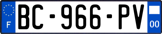 BC-966-PV