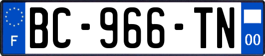 BC-966-TN