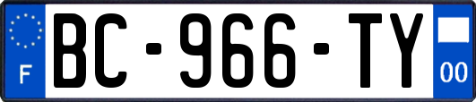 BC-966-TY