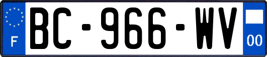 BC-966-WV