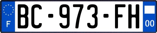 BC-973-FH