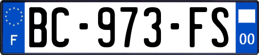 BC-973-FS