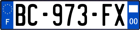 BC-973-FX