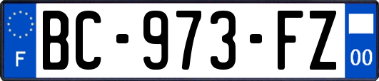 BC-973-FZ