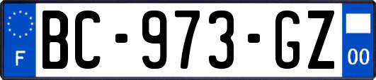 BC-973-GZ