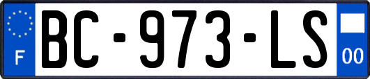 BC-973-LS