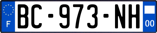 BC-973-NH
