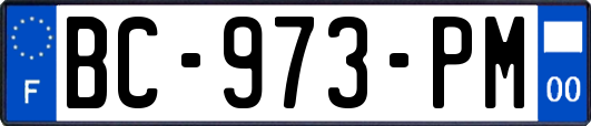 BC-973-PM