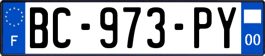 BC-973-PY