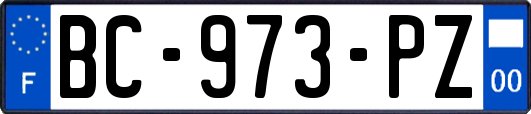 BC-973-PZ