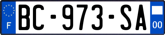 BC-973-SA