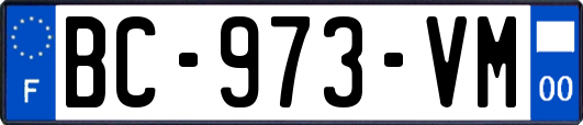 BC-973-VM