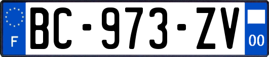 BC-973-ZV