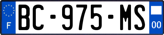 BC-975-MS