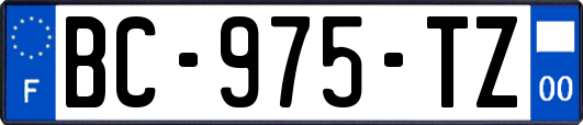 BC-975-TZ