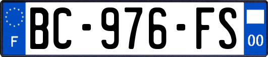 BC-976-FS