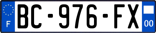 BC-976-FX