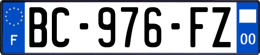 BC-976-FZ