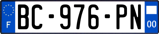BC-976-PN