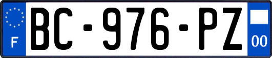 BC-976-PZ