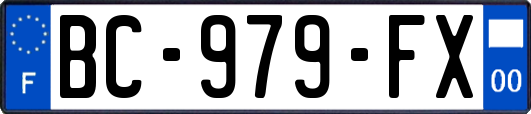 BC-979-FX