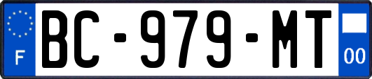 BC-979-MT