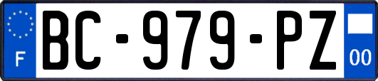 BC-979-PZ