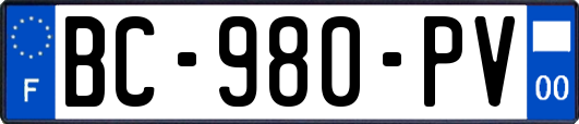 BC-980-PV