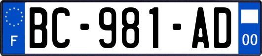 BC-981-AD