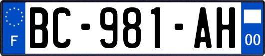 BC-981-AH