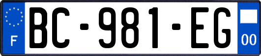 BC-981-EG